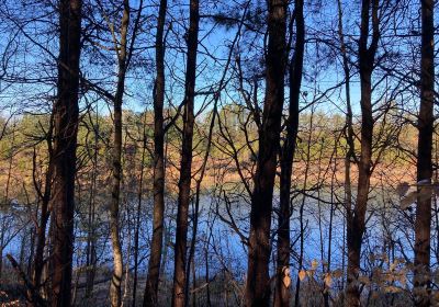 Kings Mountain Gateway Trail