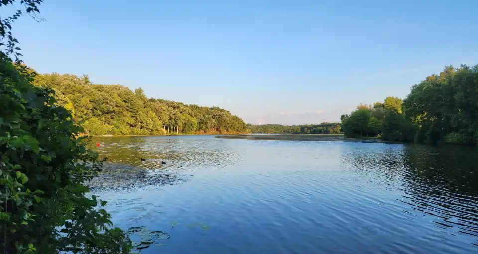 3_Gallup Park