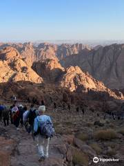 Mount Sinai