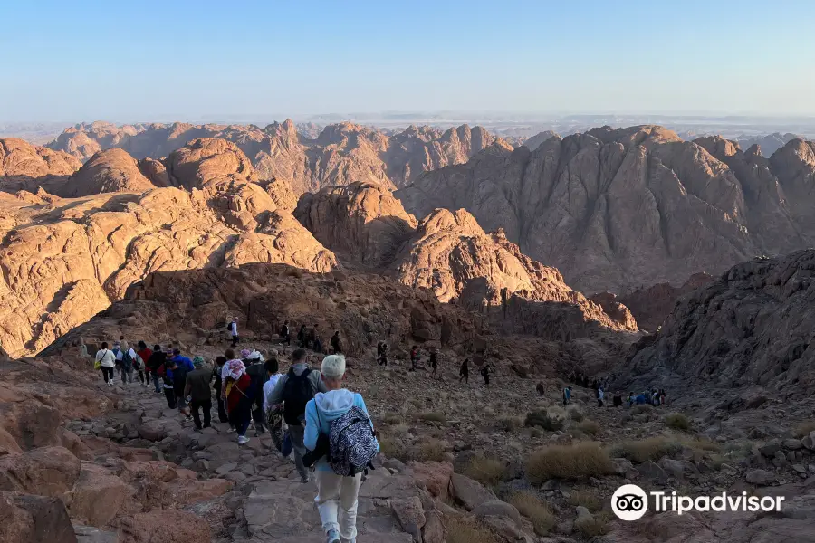 Mount Sinai