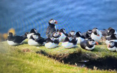 Shetland