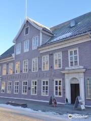 Perspektivet Museum