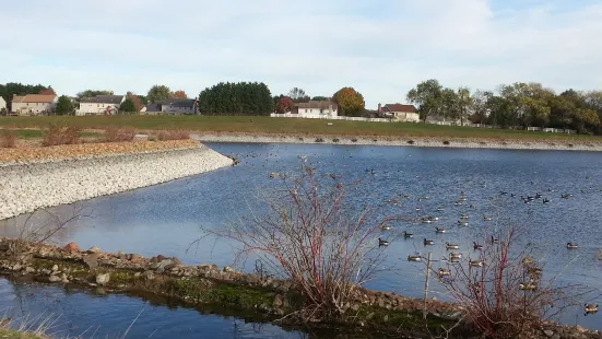 Newark Reservoir