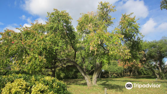 Lamberton Conservatory