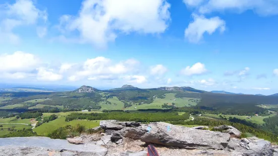 Mont Gerbier de Jonc