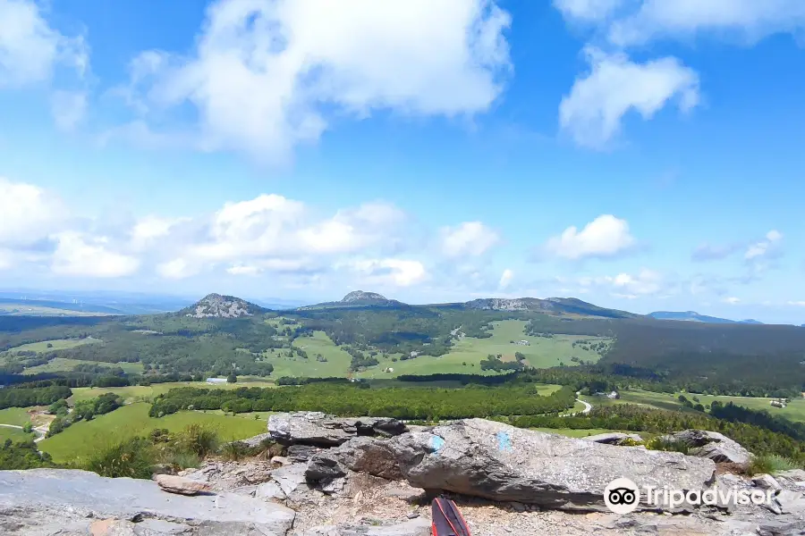 Mont Gerbier de Jonc