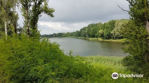 Lagoon Rogoźnik