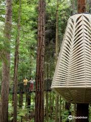 Redwoods Treewalk