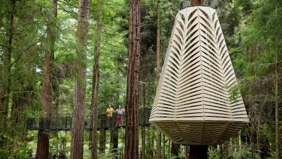 Redwoods Treewalk