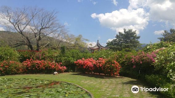 Hope Zoo Preservation Foundation