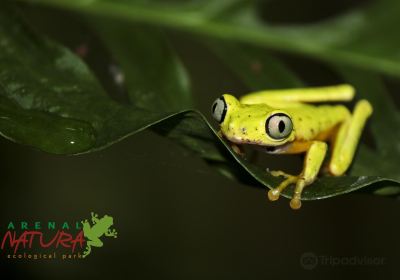 Arenal Natura Ecological Park