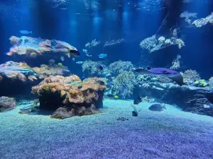 Loebbecke-Museum und Aquazoo