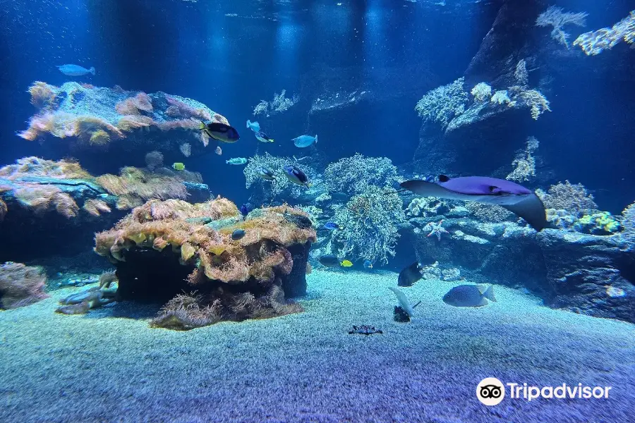 Loebbecke-Museum und Aquazoo