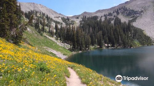 Wasatch Mountains