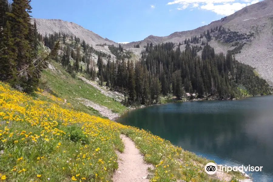 Wasatch Mountains