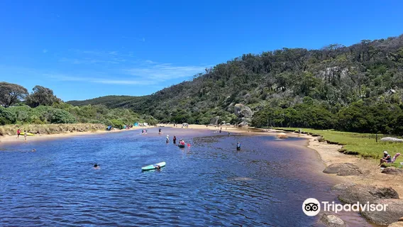 Tidal River Foot Bridge
