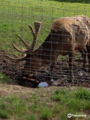 Rocky Mountain Wildlife Park