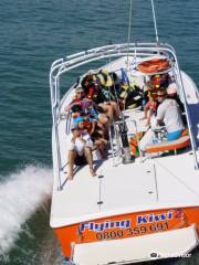 Flying Kiwi Parasail