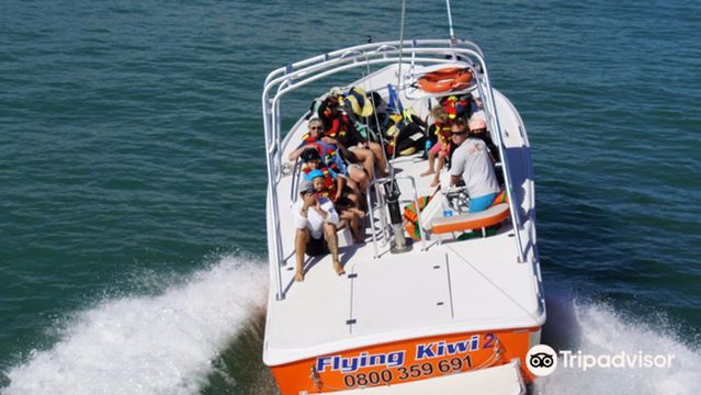 Flying Kiwi Parasail