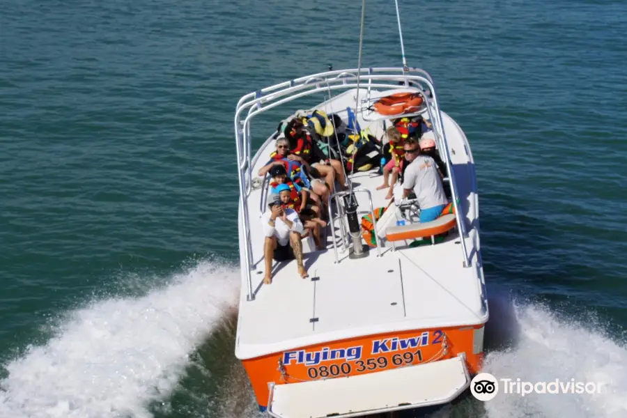 Flying Kiwi Parasail