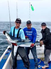 Blue Shark Charters