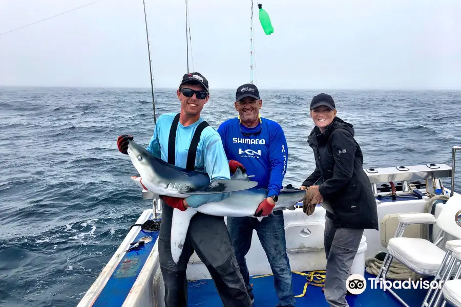 Blue Shark Charters