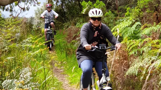 Otway E Bikes