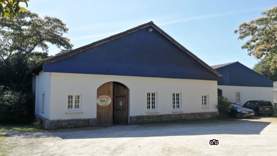 Cidrerie Manoir du Kinkiz