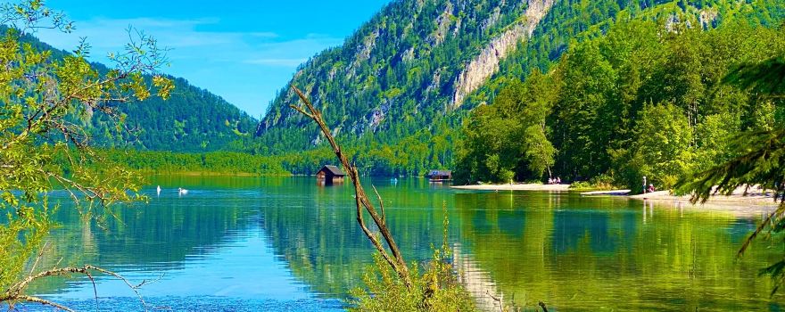 Almsee