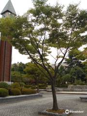 Aoimori Park