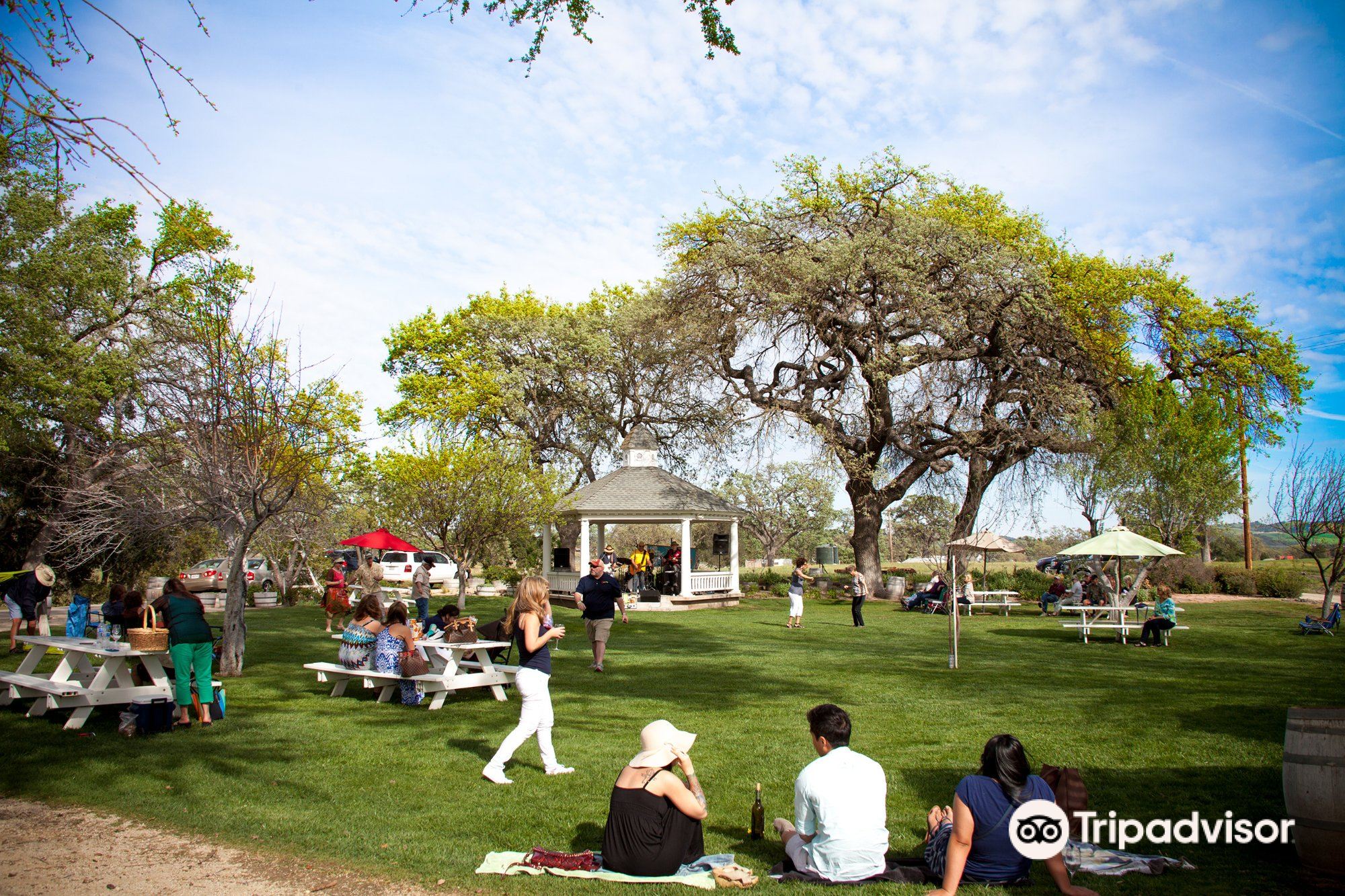 Peachy Canyon specializes in Zin - San Luis Obispo County Visitors