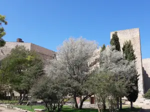 Montealegre de Campos Castle