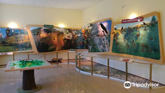 Galzignano Terme
