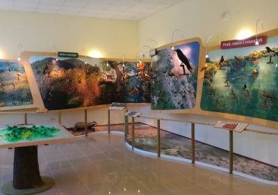 Museo Archeologico Naturalistico dei Colli Euganei