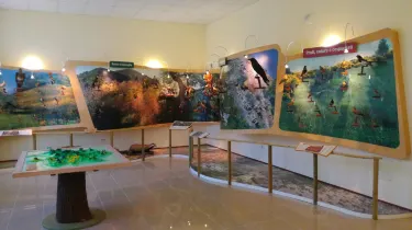 گالتزینیانو ترمه