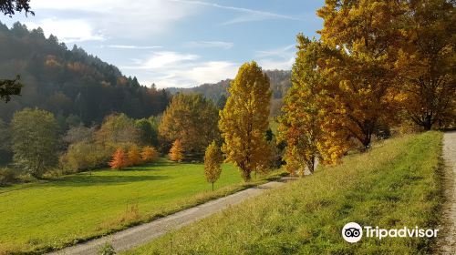 l'Arboretum National du Vallon de l'Aubonne