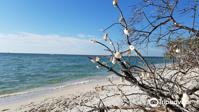Delnor-Wiggins Pass State Park