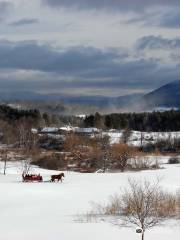 Sweet Brook Farm