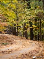 North Bend State Park