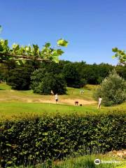 Pitch & Putt Golf Molenhoek