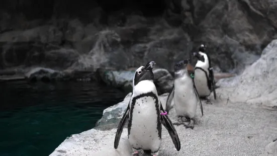 プエブロ動物園