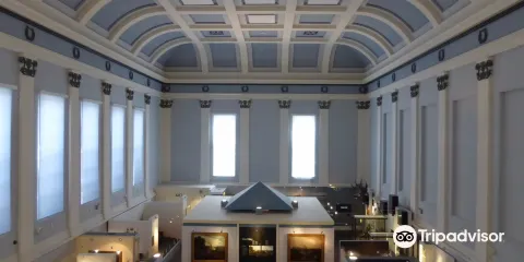 Shrewsbury Museum and Art Gallery