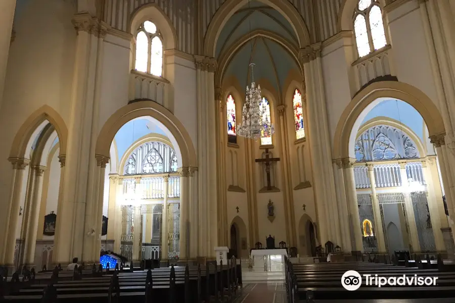 Our Lady of the Rosary Cathedral, Santos