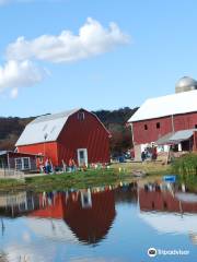 Treinen Farm Corn Maze and Pumpkin Patch