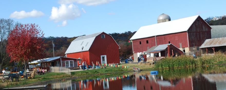 Treinen Farm Corn Maze and Pumpkin Patch