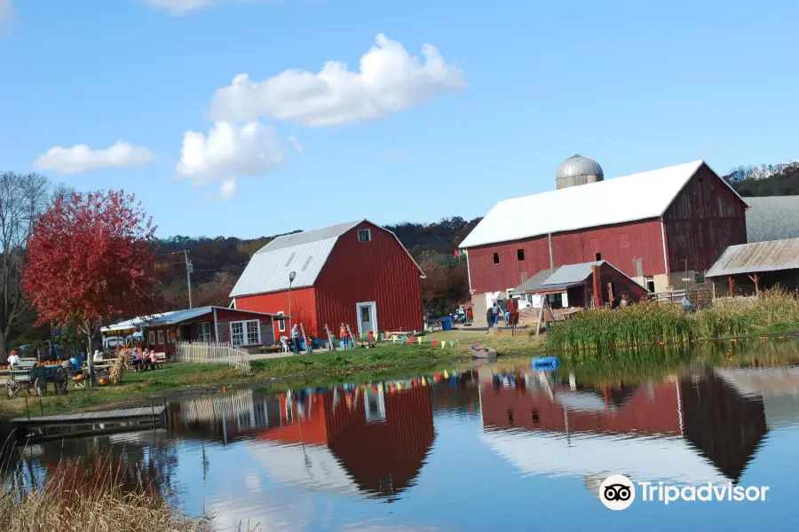 Treinen Farm Corn Maze and Pumpkin Patch