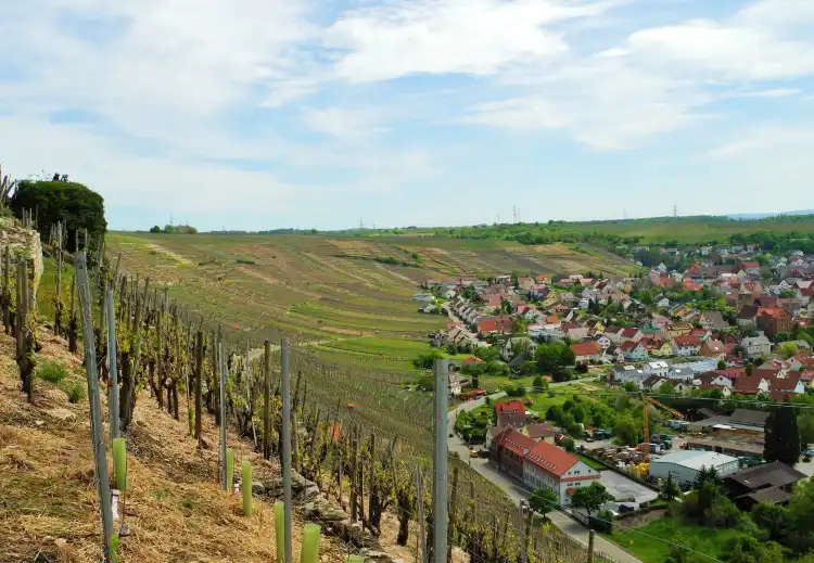 Hotels in Hessigheim