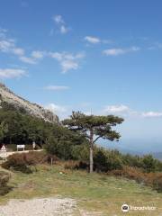 Mirador Paso de los Lobos