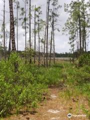 Lake Proctor Wilderness Area