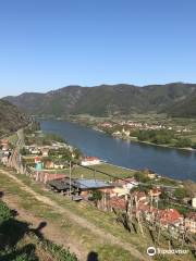 Segway Wachau